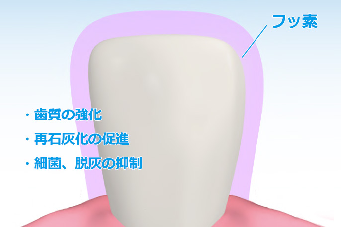 フッ素3つの効果